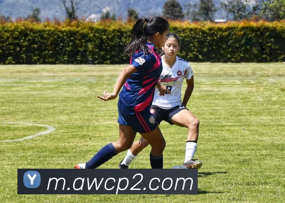 电竞内容频道